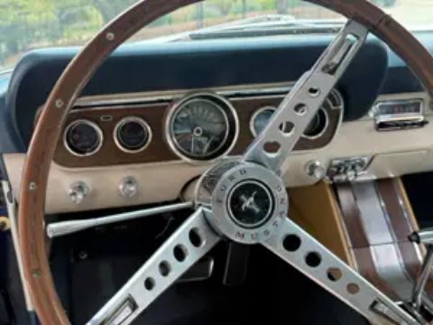 1966 Ford Mustang Fastback Survivor 