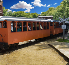 C.P. Huntington Brookfield Zoo Train by C. Foster — thumbnail 3