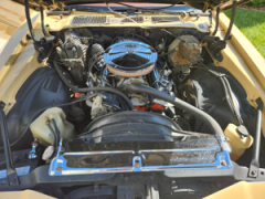 1977 Camaro 350 Four Speed — thumbnail 6
