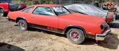 I977 Oldsmobile 442 Factory 5 speed car I of II4 made — thumbnail 6