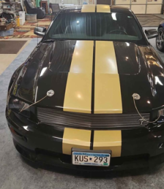 2006 Ford Mustang Shelby GT350 Coupe 2D — thumbnail 8