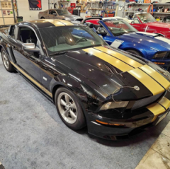 2006 Ford Mustang Shelby GT350 Coupe 2D — thumbnail 5