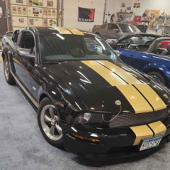 2006 Ford Mustang Shelby GT350 Coupe 2D — thumbnail 7