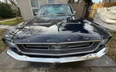 1967 Ford  Mustang Fastback — thumbnail 4