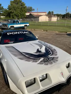 1981 Pontiac Turbo Trans Am Daytona Pace Car — thumbnail 2