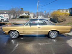 1965 Pontiac GTO Tri-Power — thumbnail 5