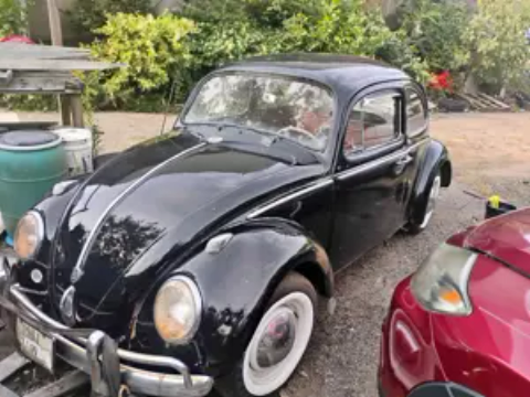 1961 VW Beetle