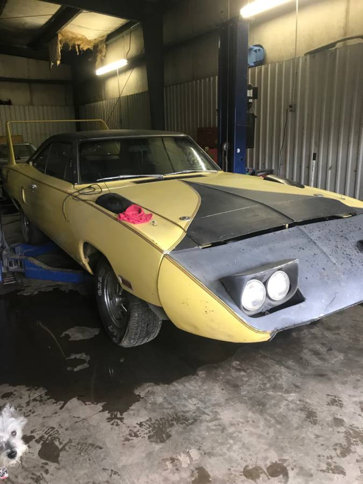 1970 Plymouth Super Bird 440 Four Speed — photo 1