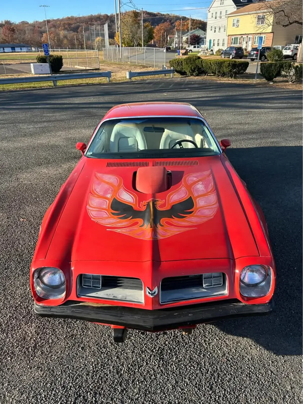 1975 Pontiac Firebird Trans Am — photo 1