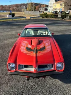 1975 Pontiac Firebird Trans Am — thumbnail 1