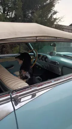 1953 Packard Caribbean — thumbnail 3