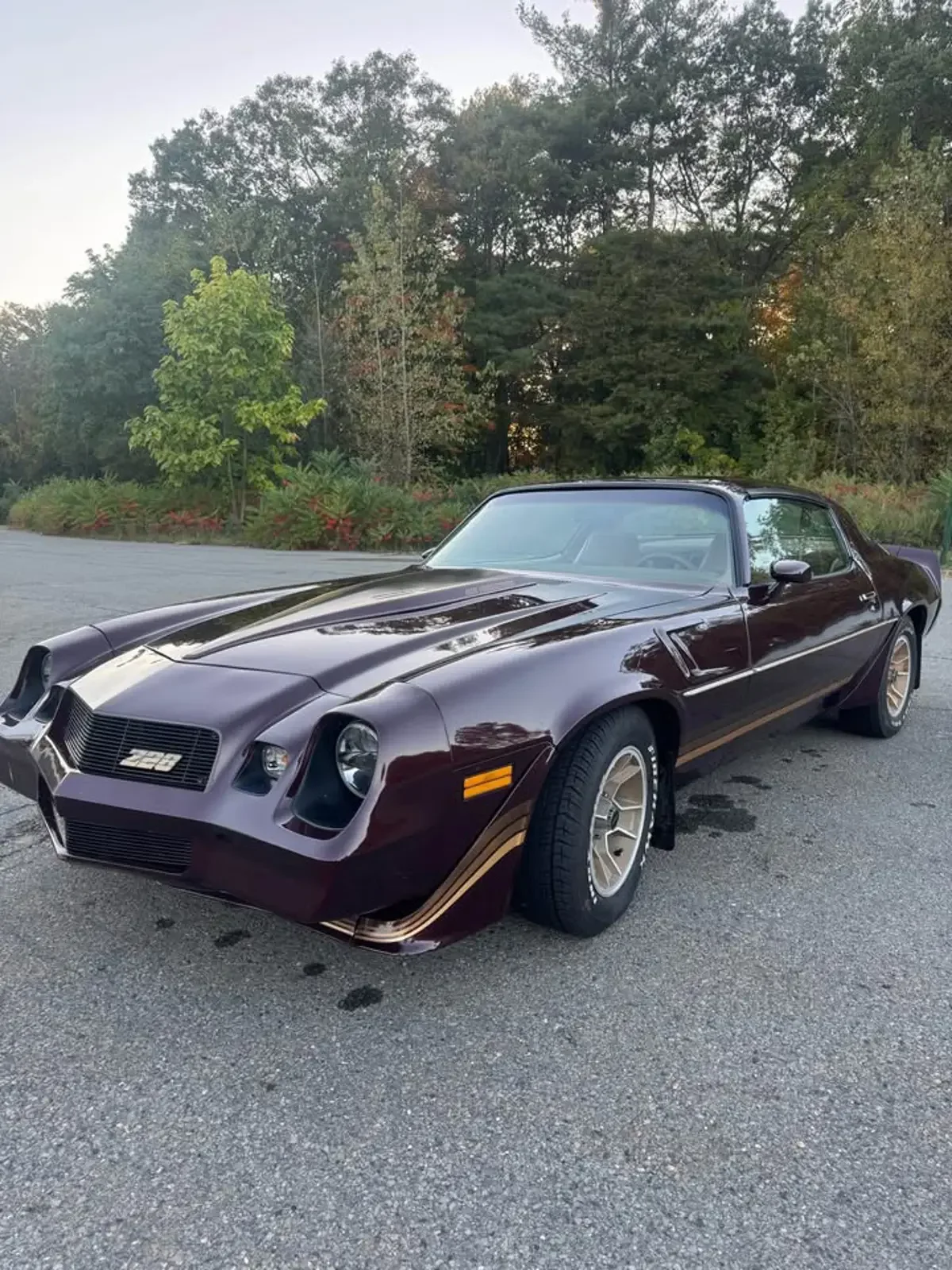 1980 Chevrolet Camaro Z28 — photo 1