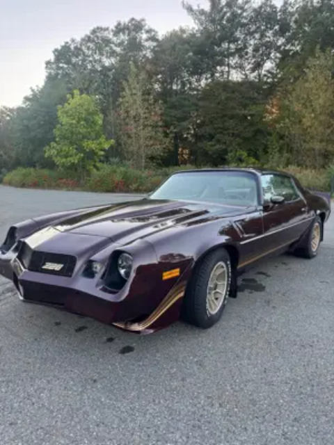 1980 Chevrolet Camaro Z28