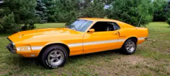 1969 Shelby GT350 Fastback with 72,000 original miles! All #s matching! — thumbnail 4