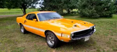 1969 Shelby GT350 Fastback with 72,000 original miles! All #s matching! — thumbnail 5