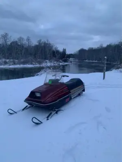 1980 Yamaha Enticer