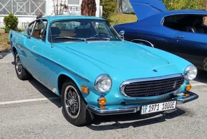 Lou 1971 Volvo 1800E
