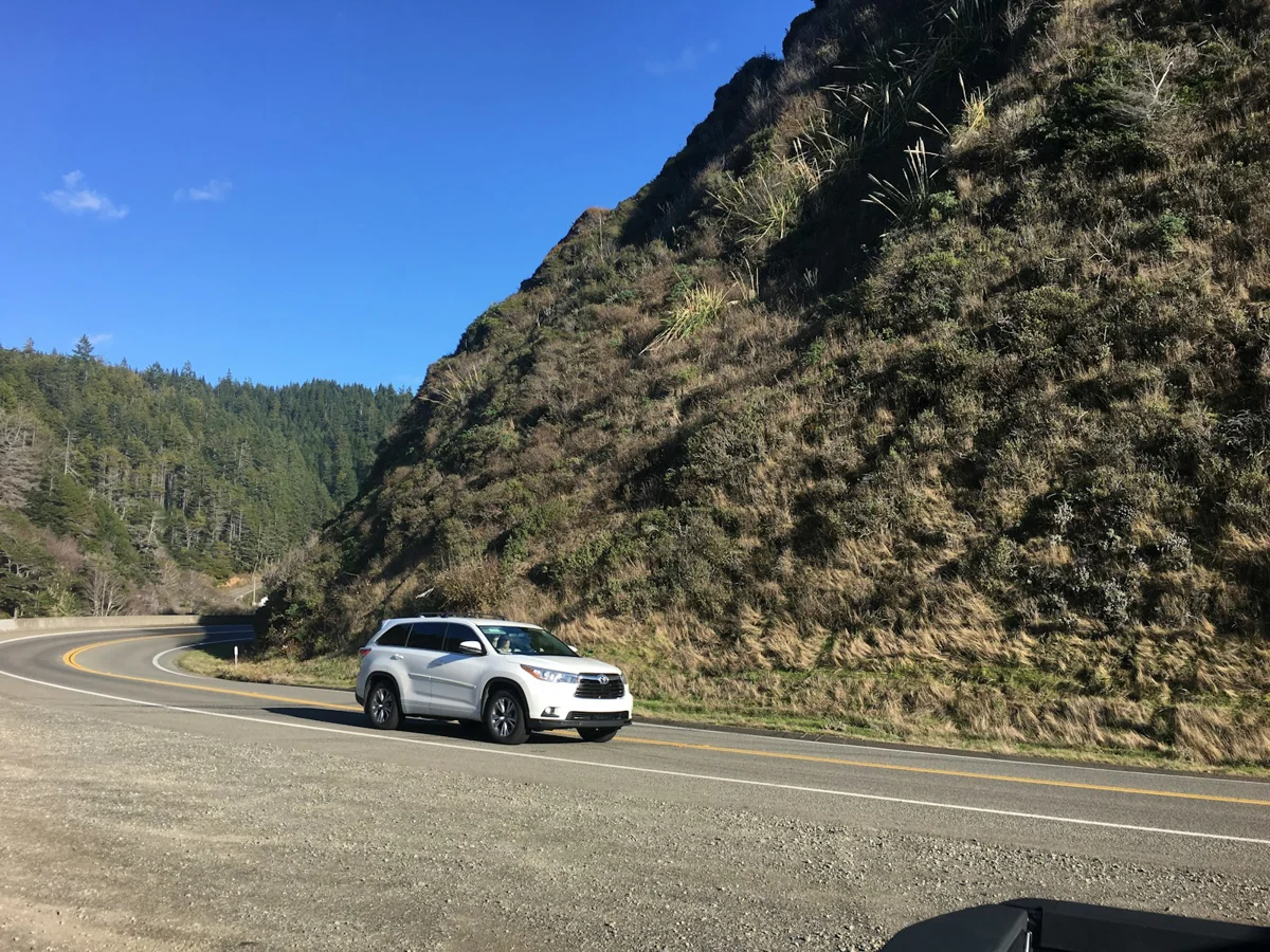 San Diego Chapter — Palomar Mountain Run & Lunch photo 1