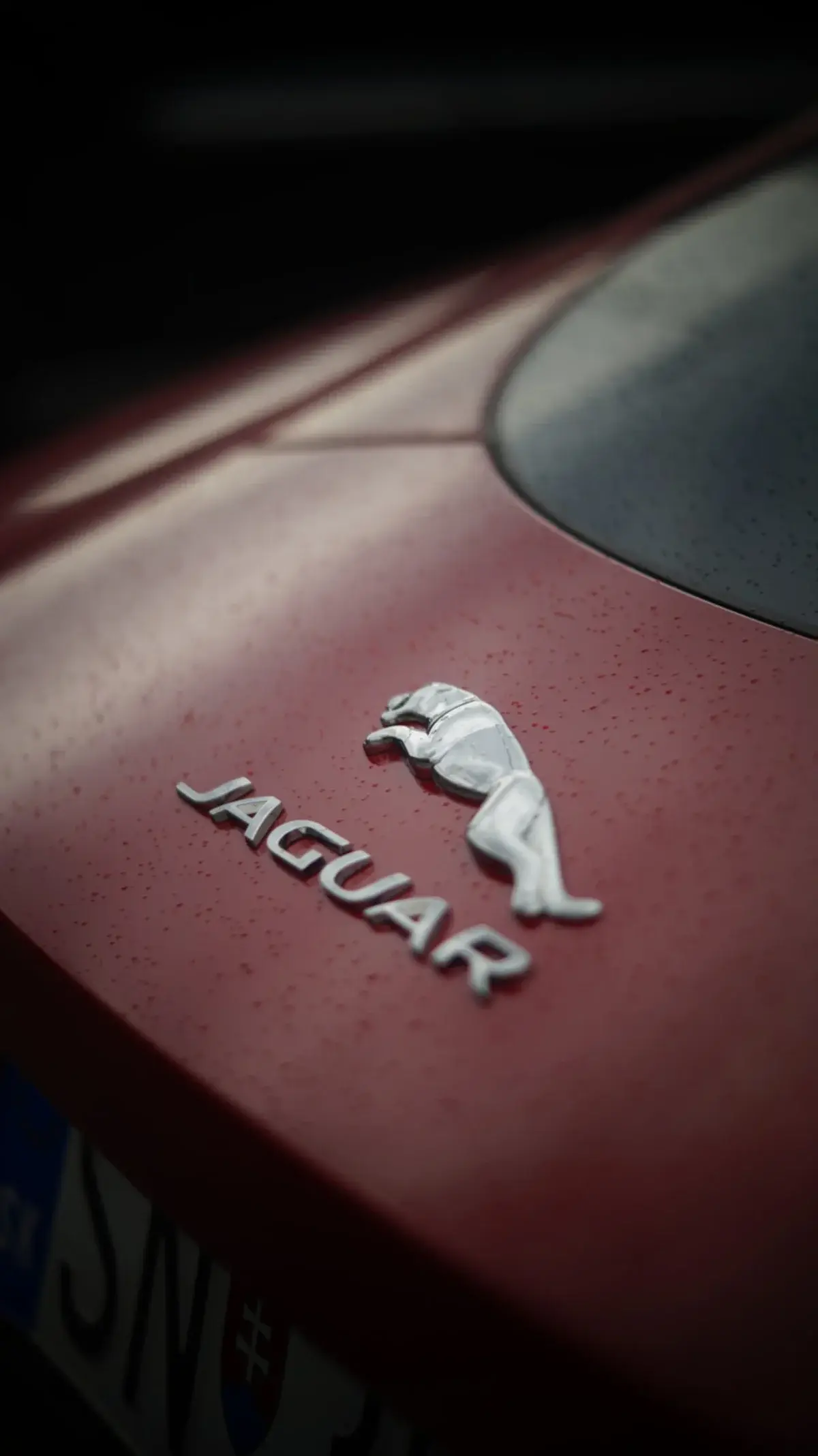 1983 Jaguar XJ-S HE